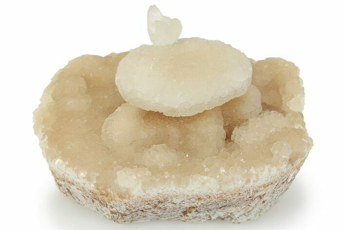 Fascinating Cave Calcite Mushroom Stalactite - Wenshan Mine #223548